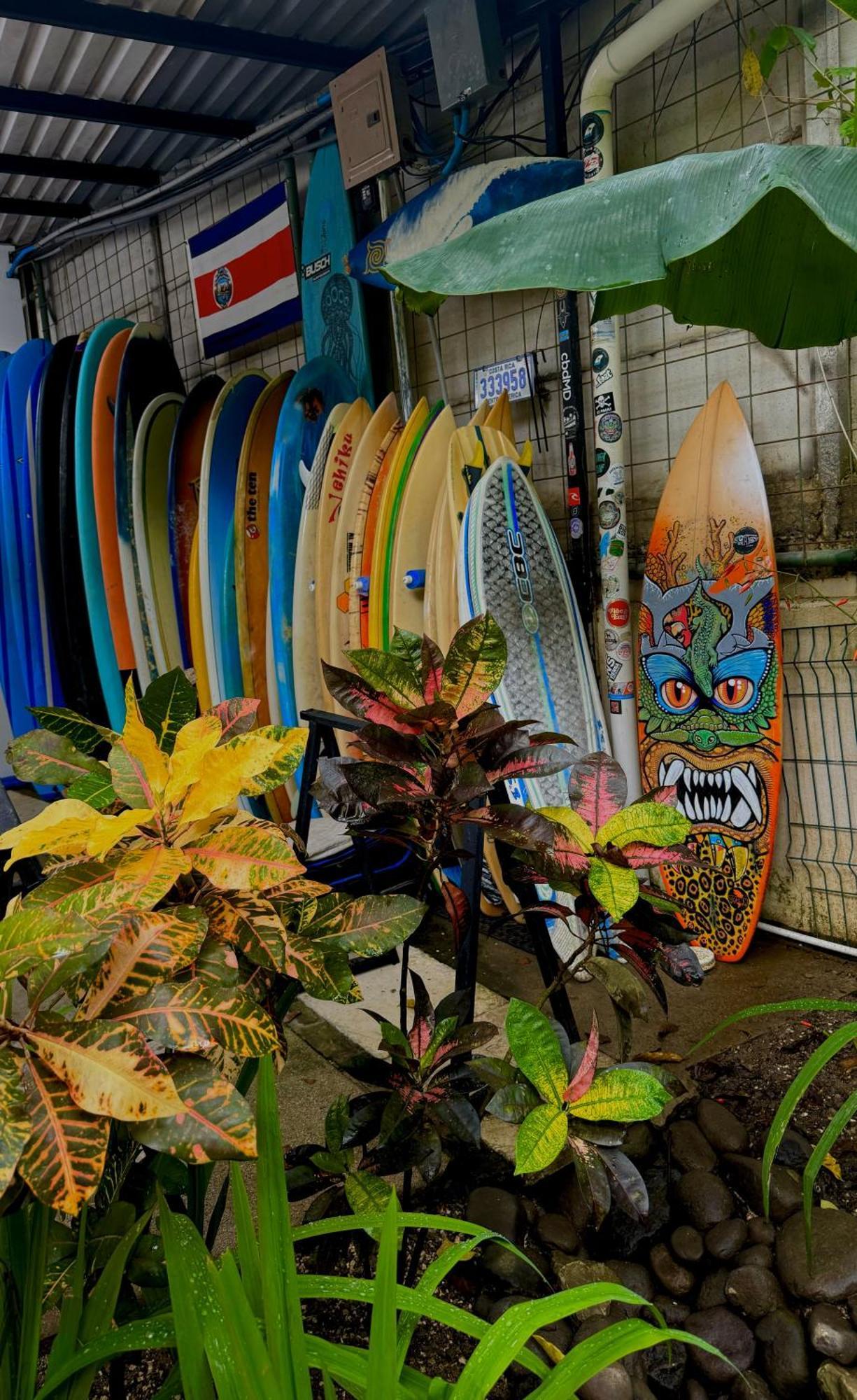 El Chante Surf House Playa Santa Teresa  Bagian luar foto